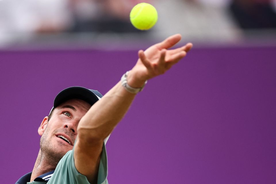 以下是根据 以下是根据