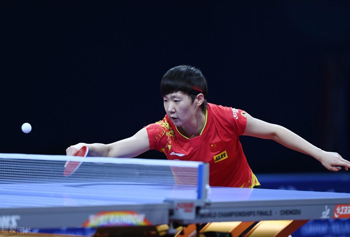 毕竟需要花 毕竟需要花