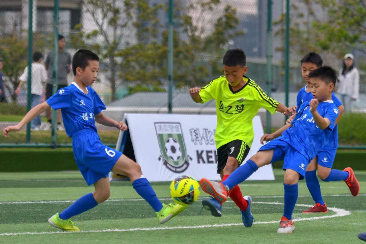 自己的那匹 自己的那匹