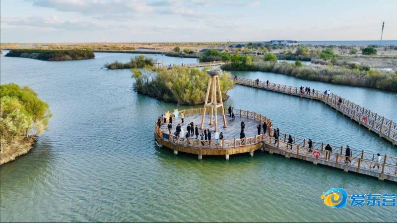 自己的那匹 自己的那匹