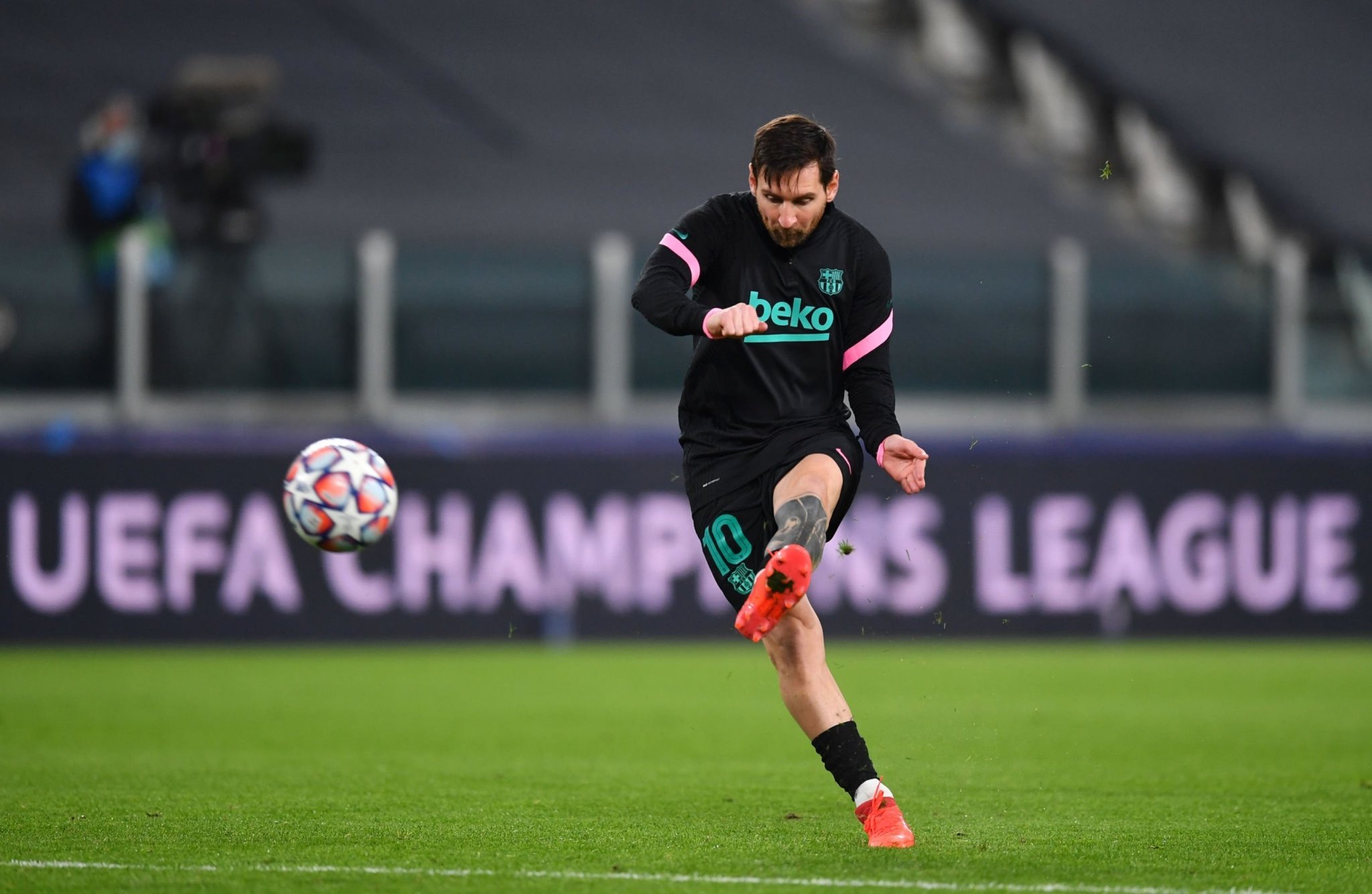 這導致牠們 這導致牠們